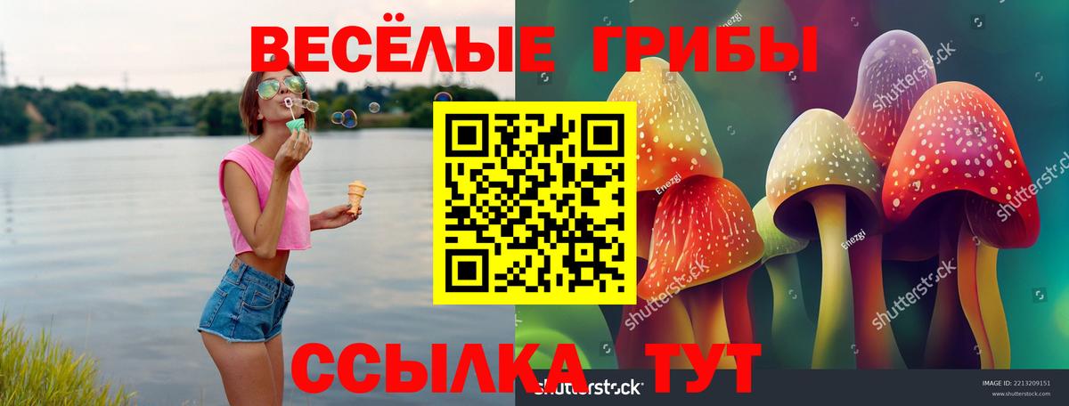 Галлюциногенные грибы Magic Shrooms  Псилоцибиновые грибы Magic Shrooms  Вход с VPN  Верхний Уфалей 